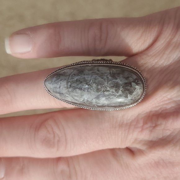 New Oversized Orthoceras Fossil Antique Design 925 Silver Statement Ring. - Picture 10 of 14
